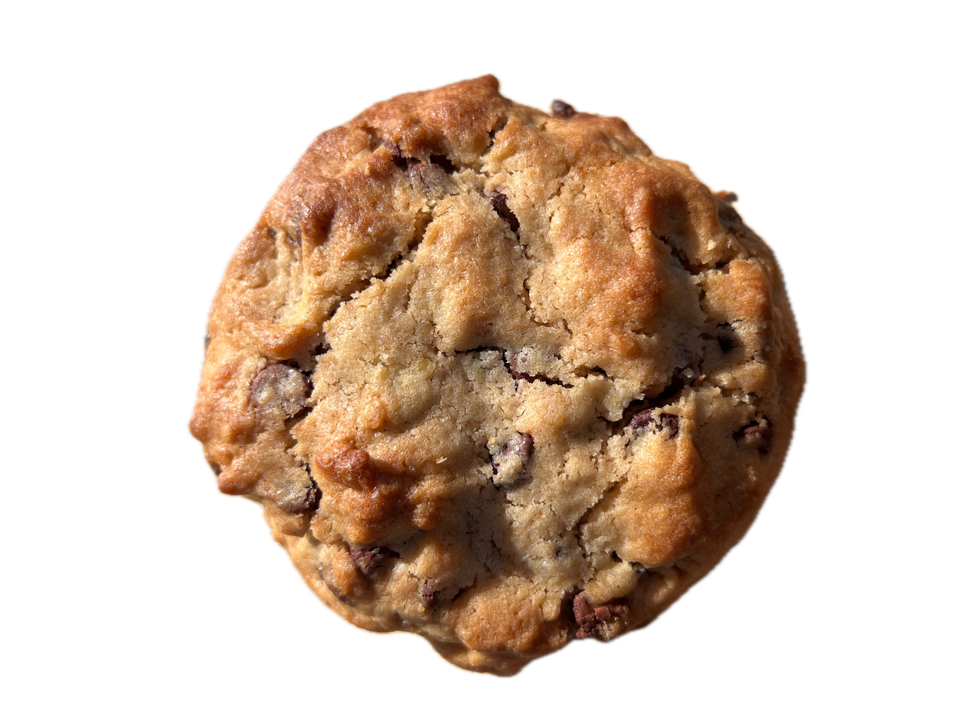 Choco Chip Classic — thick chocolate chip cookie